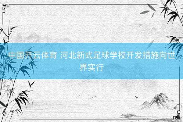 中国开云体育 河北新式足球学校开发措施向世界实行