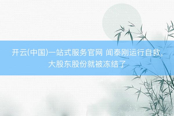 开云(中国)一站式服务官网 闻泰刚运行自救，大股东股份就被冻结了