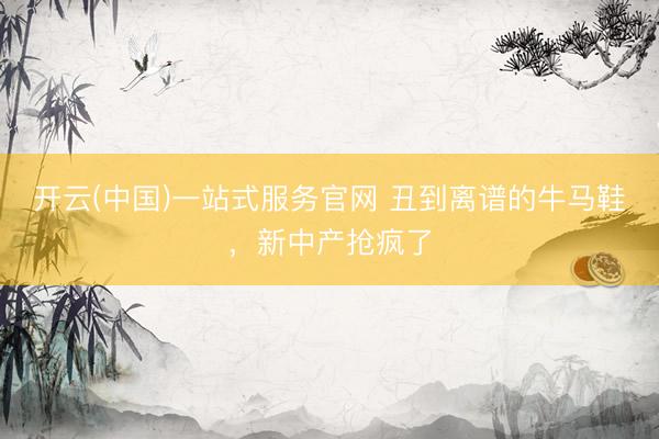 开云(中国)一站式服务官网 丑到离谱的牛马鞋，新中产抢疯了