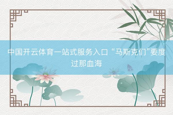 中国开云体育一站式服务入口 “马斯克们”要度过那血海