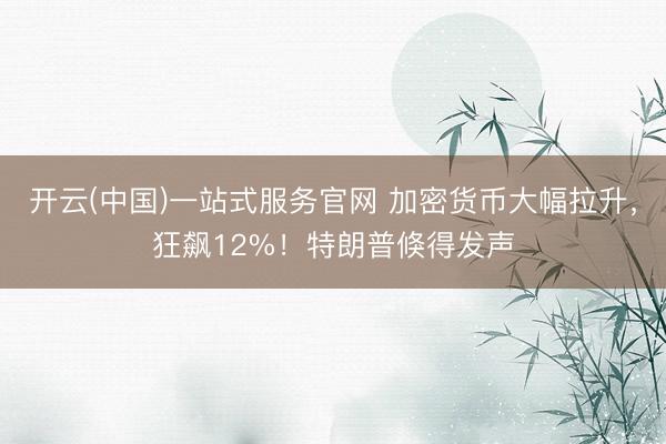 开云(中国)一站式服务官网 加密货币大幅拉升，狂飙12%！特朗普倏得发声